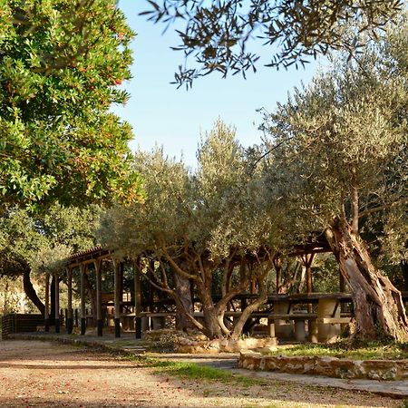 Camping Alquézar Exteriér fotografie