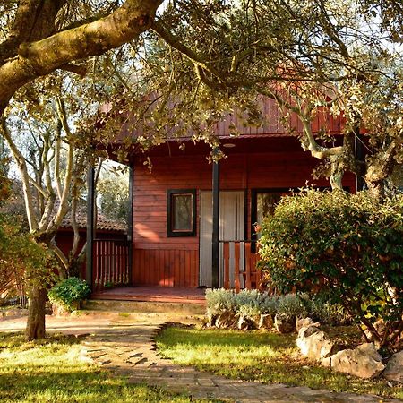 Camping Alquézar Exteriér fotografie