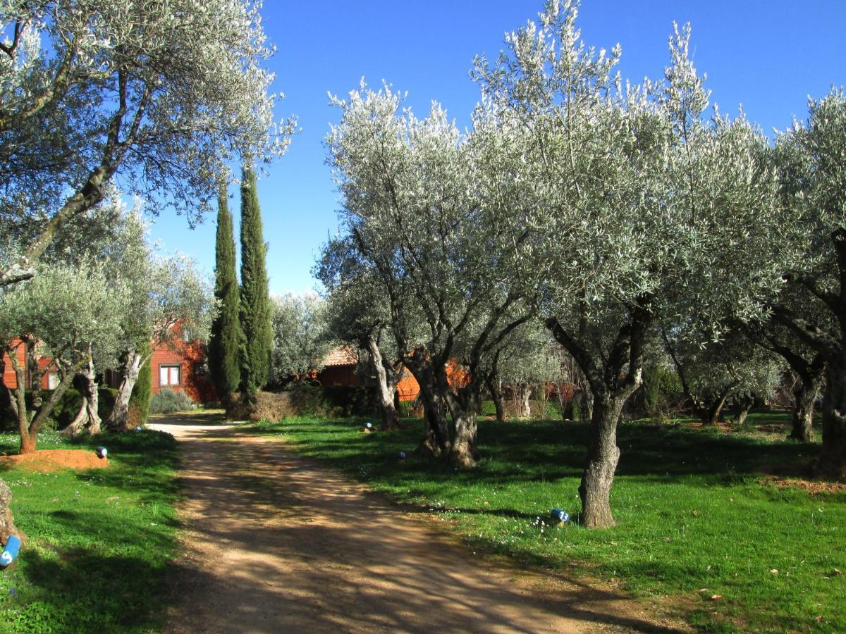 Camping Alquézar Exteriér fotografie