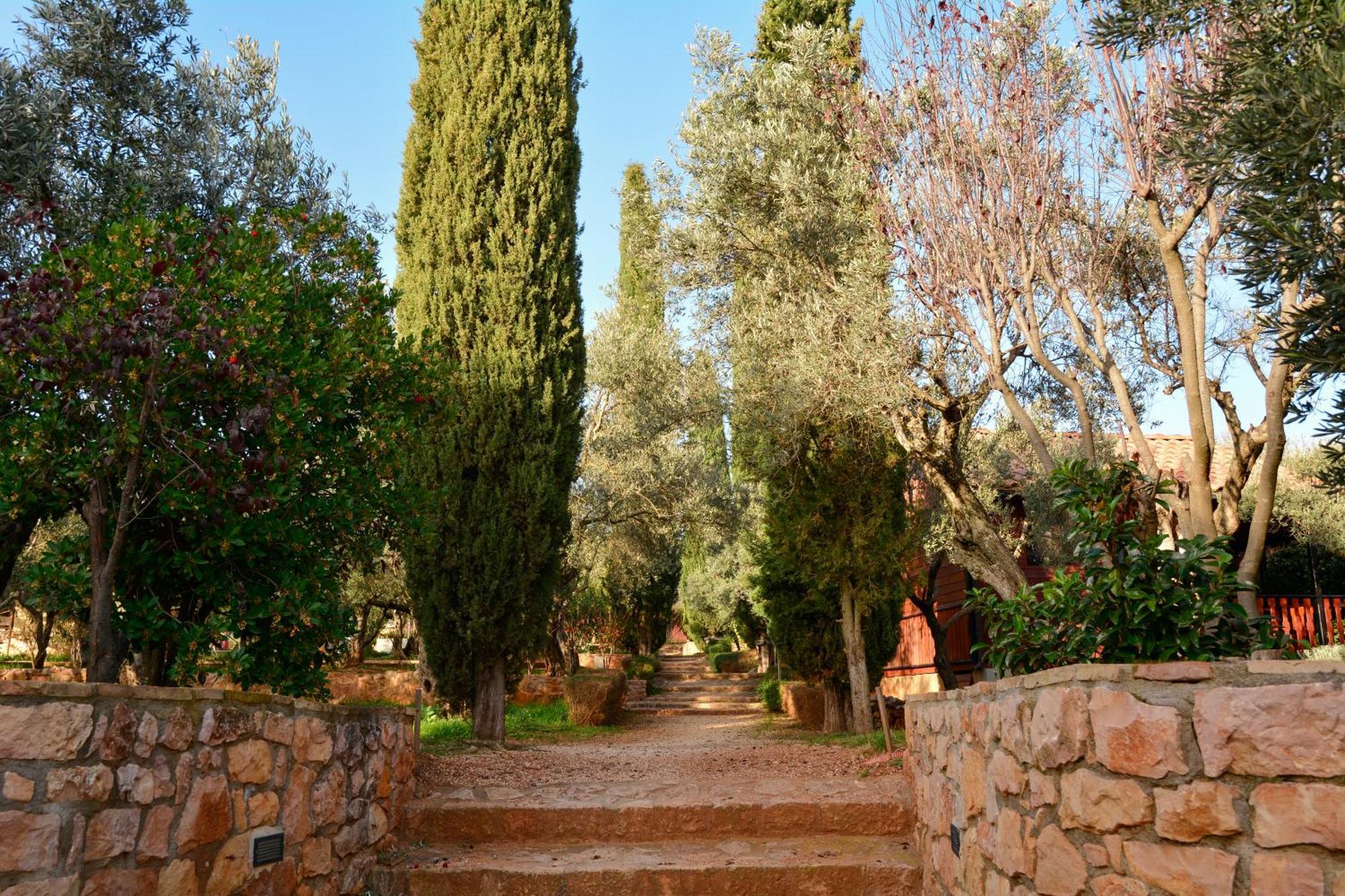 Camping Alquézar Exteriér fotografie