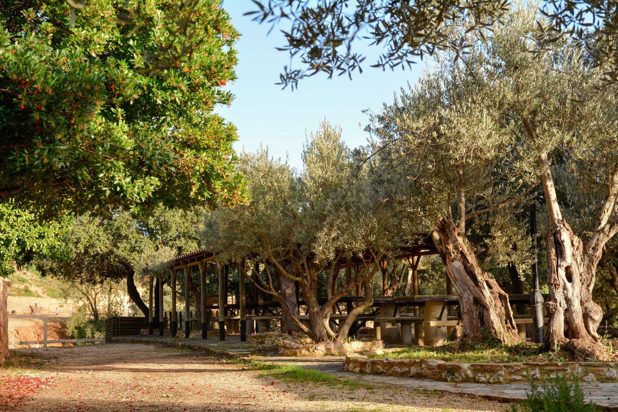 Camping Alquézar Exteriér fotografie