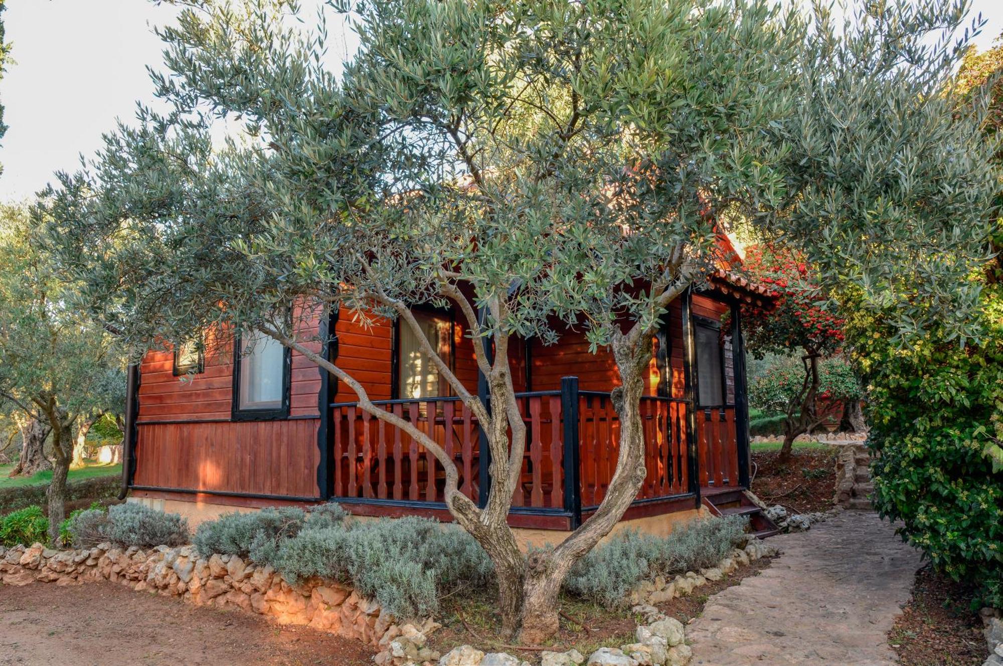 Camping Alquézar Exteriér fotografie