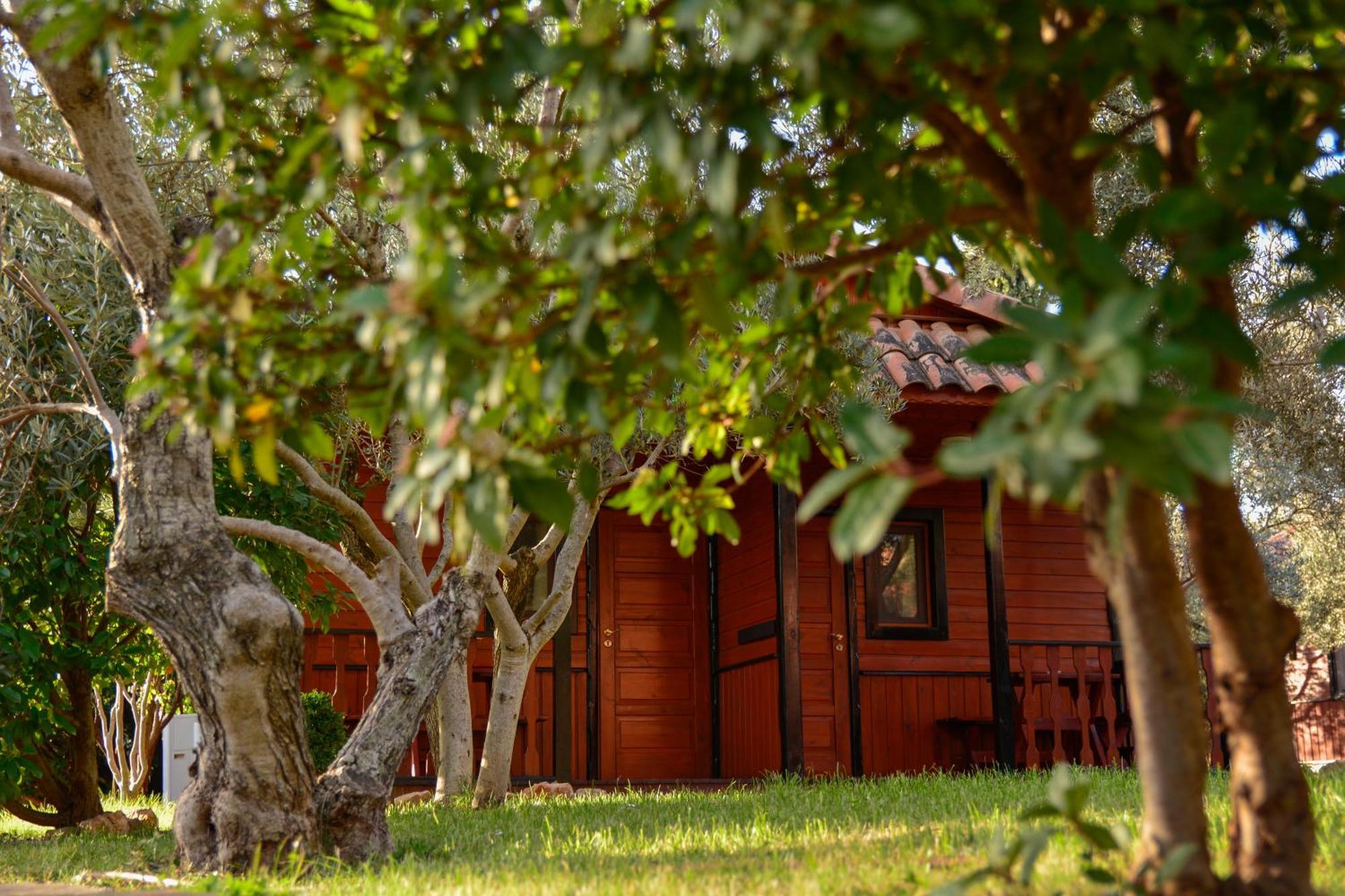 Camping Alquézar Exteriér fotografie
